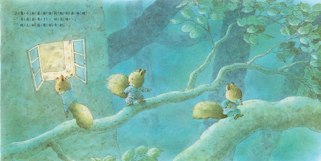 森林裡的小松鼠：夜晚的朋友